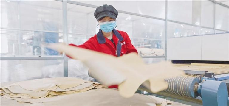 潜心耕耘担使命 更扬云帆立潮头 &mdash;&mdash;2023年广河县经济社会高质量发展综述